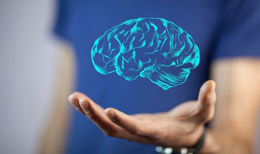 12-часовой ЭЭГ мониторинг